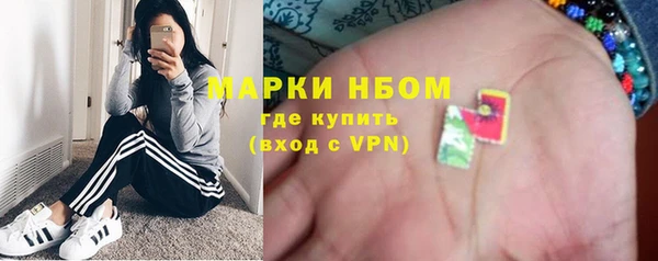 прущие грибы Абаза