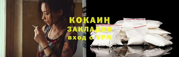 прущие грибы Абаза