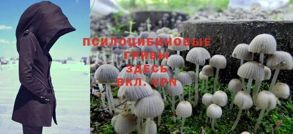 прущая мука Пролетарск