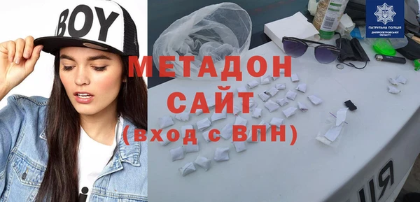 прущие грибы Абаза