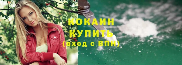 прущие грибы Абаза