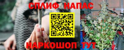 крисы Лесной
