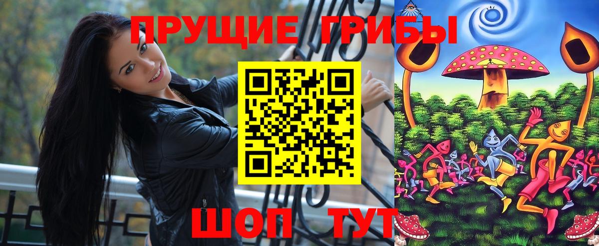 Тихорецк  Галлюциногенные грибы Magic Shrooms  купить закладку  Вход с VPN 