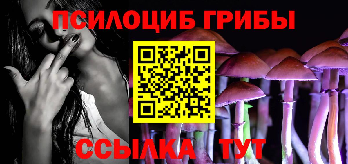 Галлюциногенные грибы Psilocybe Тихорецк