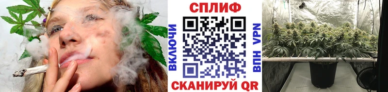 Каннабис OG Kush Тихорецк