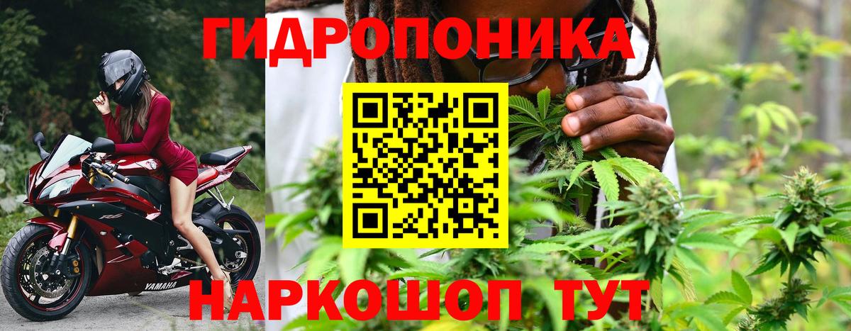 Марихуана Ganja  Вход с VPN  Тихорецк  Шишки марихуана OG Kush  Конопля AK-47 